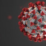 Corona Virus