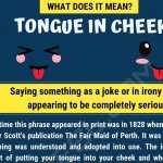 Tongue in cheek