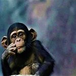 Thinking Monkey