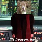 Heck you, hooman! | WHEN SOMEONE ON SOCIAL MEDIA SAYS THEY HATE DOG VIDEOS | image tagged in its treason then,dog | made w/ Imgflip meme maker