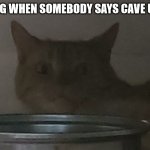 minecraft meme #5 | MOJANG WHEN SOMEBODY SAYS CAVE UPDATE | image tagged in disturbed cat | made w/ Imgflip meme maker
