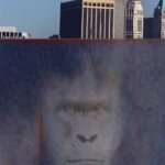 Lord Harambe 9/11 delete this meme