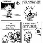 Calvin & Hobbes sarcasm | I am outraged by this meme | image tagged in calvin invention | made w/ Imgflip meme maker
