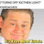 they took over the kictchen | ME*TURNS OFF KICTHEN LIGHT*; COCKROACHES: | image tagged in it's free real estate | made w/ Imgflip meme maker