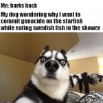 he so confused | My dog: barks; Me: barks back; My dog wondering why I want to commit genocide on the starfish while eating swedish fish in the shower | image tagged in stunned dog | made w/ Imgflip meme maker