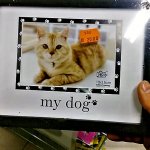 Picture frame with cat as my dog