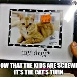 picture frame with cat as my dog | SO, NOW THAT THE KIDS ARE SCREWED UP
IT'S THE CAT'S TURN | image tagged in animal meme,cat meme,dog meme,dog vs cat,lgbtq,gender identity | made w/ Imgflip meme maker