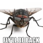 Fly'll Be Back | FLY'LL BE BACK | image tagged in fly be back | made w/ Imgflip meme maker