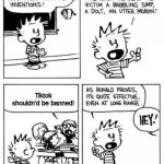 Calvin Invention | Tiktok shouldn'd be banned! | image tagged in calvin invention | made w/ Imgflip meme maker