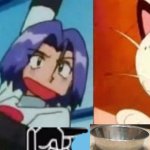 Jessie yelling at meowth