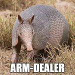 Arm-dealer | ARM-DEALER | image tagged in armadillo,dealer,guns,gun | made w/ Imgflip meme maker