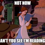 Reaing | NOT NOW; CAN'T YOU SEE I'M READING? | image tagged in belle reading a book | made w/ Imgflip meme maker