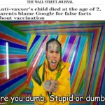 Stupidity at an all time high | image tagged in are you dumb stupid or dumb,memes,funny,upvote if you agree | made w/ Imgflip meme maker