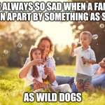 C'mon get happy | IT IS ALWAYS SO SAD WHEN A FAMILY IS TORN APART BY SOMETHING AS SIMPLE; AS WILD DOGS | image tagged in happy family,fun,dark humor | made w/ Imgflip meme maker