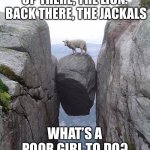Between a rock, and another rock | UP THERE, THE LION.  BACK THERE, THE JACKALS; WHAT’S A POOR GIRL TO DO? | image tagged in between a rock and a hard place | made w/ Imgflip meme maker