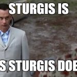 Sturgis is as Stugis does | STURGIS IS; AS STURGIS DOES | image tagged in stupid is as stupid does,covid-19,covid19,covidiots,sturgis,motorcycle | made w/ Imgflip meme maker
