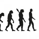 evolution template