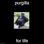 purgilla | purgilla; for life | image tagged in sad3 | made w/ Imgflip meme maker