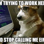corgi hacker | I AM TRYING TO WORK HERE... AND STOP CALLING ME EIN!!! | image tagged in corgi hacker | made w/ Imgflip meme maker