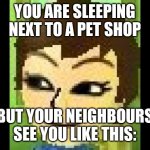 Losky's Mii | YOU ARE SLEEPING NEXT TO A PET SHOP; BUT YOUR NEIGHBOURS SEE YOU LIKE THIS: | image tagged in losky's mii | made w/ Imgflip meme maker