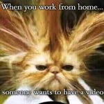 bad hair day | When you work from home... And someone wants to have a video call. | image tagged in bad hair day | made w/ Imgflip meme maker