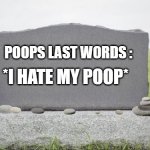 oh poop | POOPS LAST WORDS :; *I HATE MY POOP* | image tagged in blank burial stone,poop,buried | made w/ Imgflip meme maker