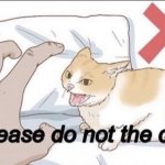 Please do not the cat