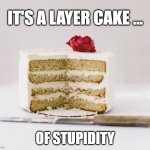 Layer cake of stupid | IT'S A LAYER CAKE ... OF STUPIDITY | image tagged in layer cake | made w/ Imgflip meme maker