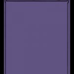 Action Card