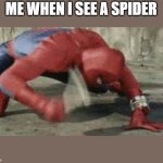 i dont have a flamethrower | ME WHEN I SEE A SPIDER | image tagged in spider man hammer | made w/ Imgflip meme maker