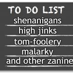 To do list | shenanigans; high jinks; tom-foolery; malarky; and other zaniness | image tagged in to do list | made w/ Imgflip meme maker