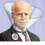 Biden Bite Collar