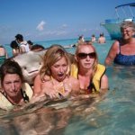 stingray photobomb