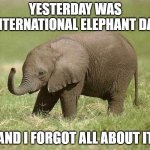 Baby elephant | YESTERDAY WAS INTERNATIONAL ELEPHANT DAY; AND I FORGOT ALL ABOUT IT | image tagged in baby elephant | made w/ Imgflip meme maker