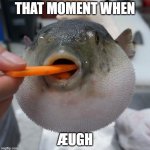 pufferfish eating carrot | THAT MOMENT WHEN; ÆUGH | image tagged in pufferfish ugh,that moment when,memes | made w/ Imgflip meme maker