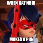 Cat Noir making a Pun | WHEN CAT NOIR; MAKES A PUN | image tagged in grumpy miraculous | made w/ Imgflip meme maker