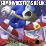 gotta go fast | SUMO WRESTLERS BE LIK:; GOTTA GO FAST | image tagged in gotta go fast | made w/ Imgflip meme maker