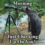 bear | Morning; Just Checking Up On You! | image tagged in bear | made w/ Imgflip meme maker