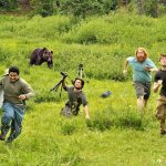Bear photography gone wrong