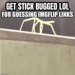 ha got ya | FOR GUESSING IMGFLIP LINKS | image tagged in get stick bugged lol | made w/ Imgflip meme maker