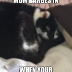 Comfort cat | WHEN YOUR MOM BARGES IN; WHEN YOUR SLEEPING | image tagged in comfort zone cat | made w/ Imgflip meme maker