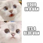 blue van | YOUR IN A VAN; ITS A BLUE VAN | image tagged in panik - calm cat | made w/ Imgflip meme maker