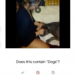 Jillian Quist Jones Sexually Molesting Dog. Forcing his Head