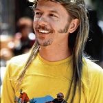 Joe dirt
