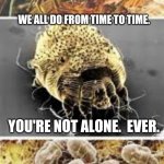 Don't Mite off more than you can chew | ARE YOU DOWN? FEELING SMALL? WE ALL DO FROM TIME TO TIME. YOU'RE NOT ALONE.  EVER. JUST REMEMBER, YOU'RE THE FOOD SOURCE FOR MILLIONS OF THESE THROUGH YOUR LIFE. | image tagged in mites | made w/ Imgflip meme maker