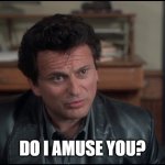 My Cousin Vinny | DO I AMUSE YOU? | image tagged in my cousin vinny | made w/ Imgflip meme maker