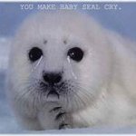 crying seal