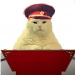 Commie Cat