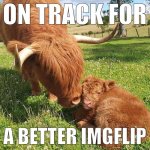 On track for a better Imgflip