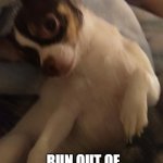 Mr Wiggles : the PunChihuahua | DID YOU KNOW ? WE WILL PROBABLY NEVER; RUN OUT OF MATH TEACHERS; BECAUSE THEY ALWAYS MULTIPLY | image tagged in mr wiggles aka ace thunderheart,bad math,bad dad pun | made w/ Imgflip meme maker